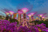Gardens By The Bay Best Attractions Things To Do